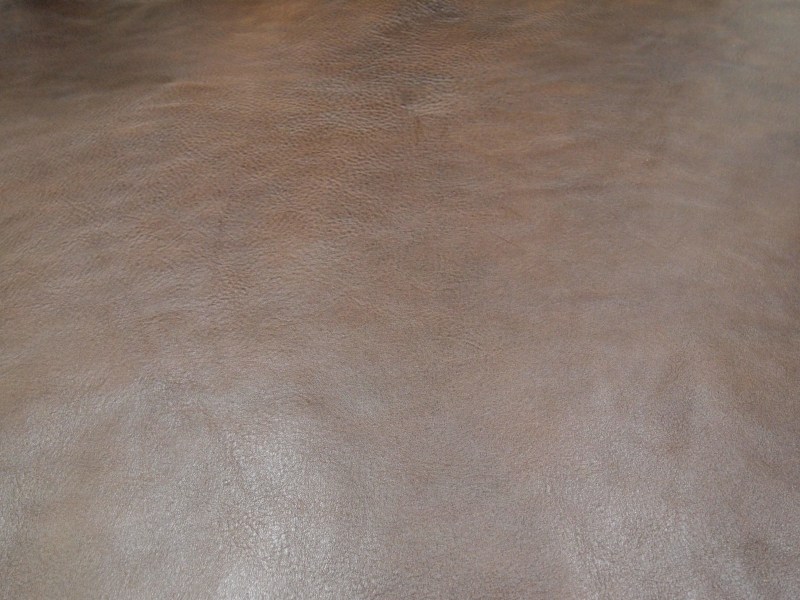 P7030923