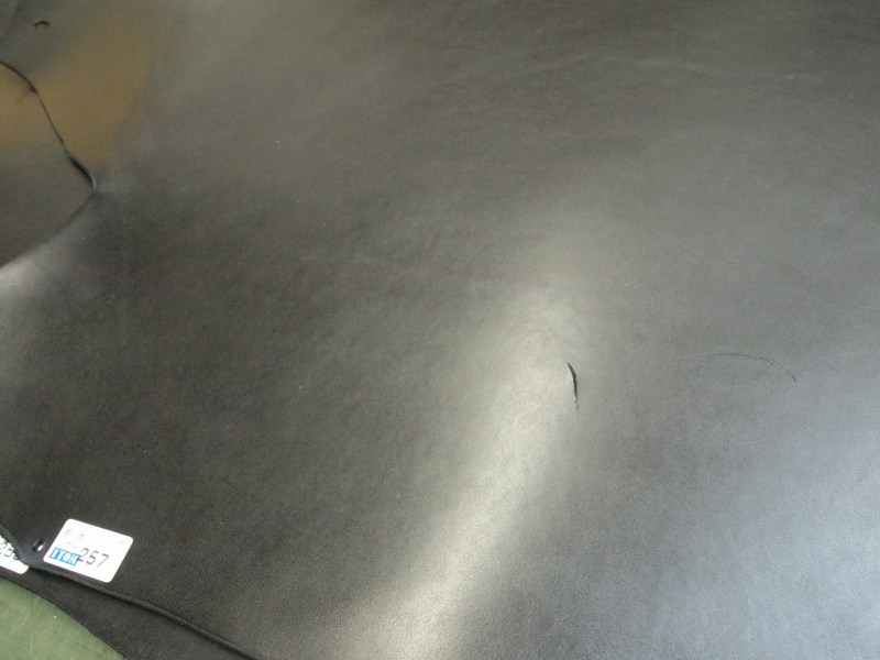 P7091195