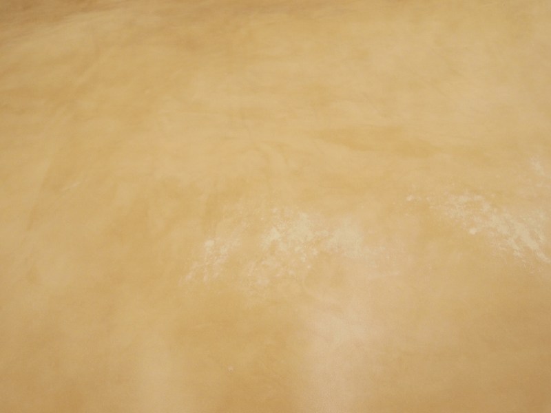 P7231486