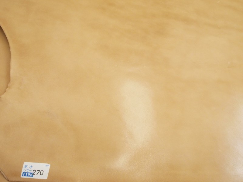 P7231495