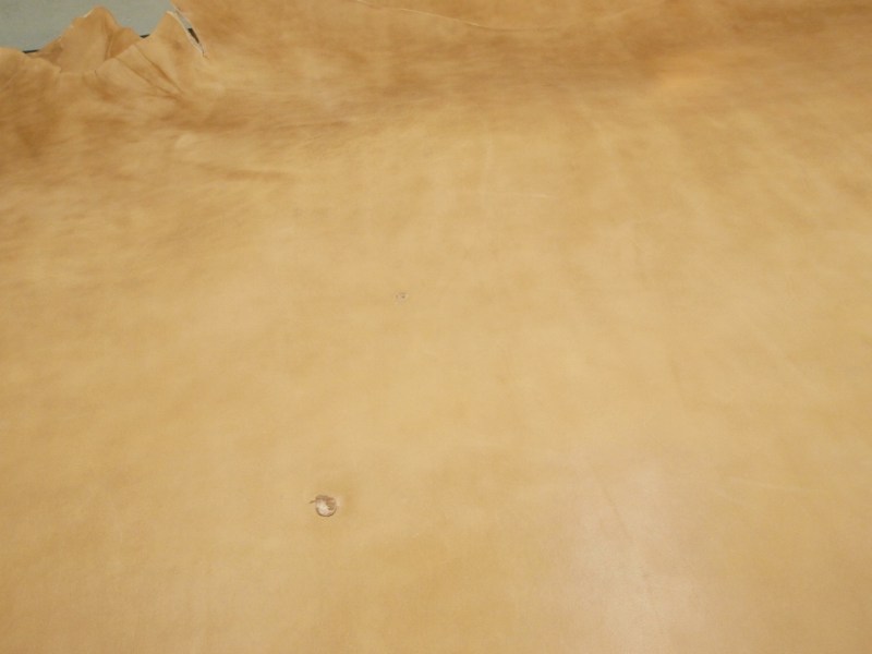 P7231522