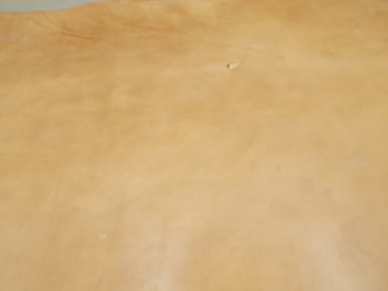 P7231525