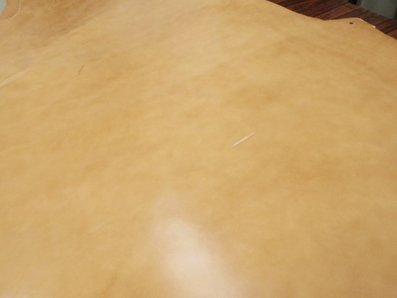 P7231535