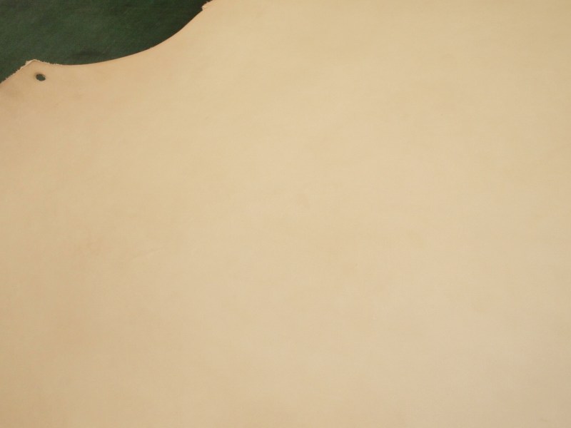 P7241619