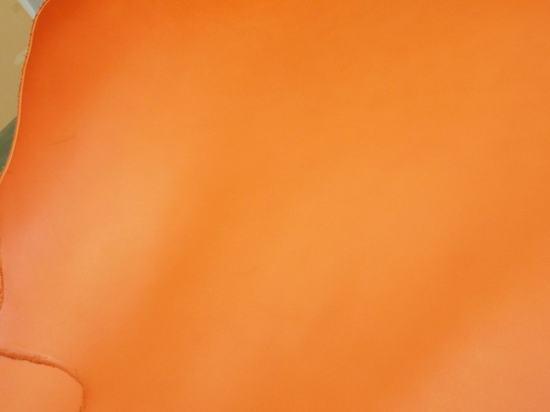 P7241654