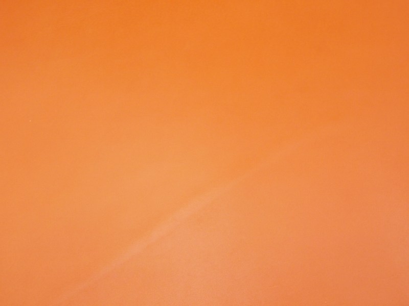 P7241660