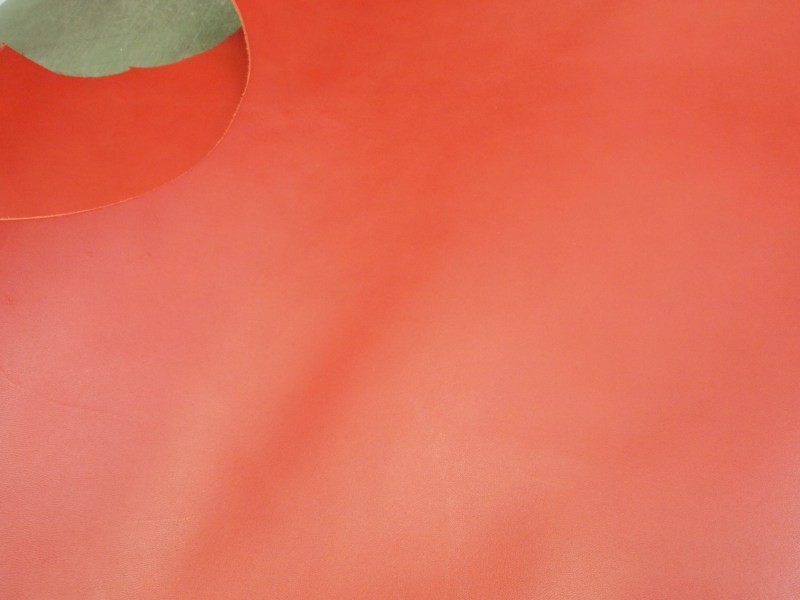 P7241685