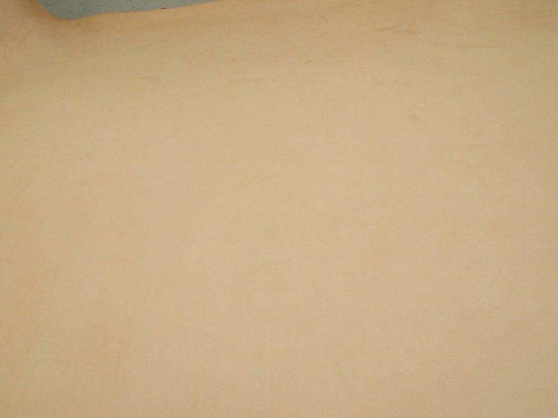 P7291758