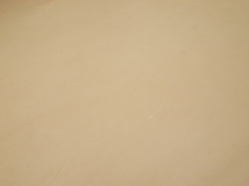P7291788