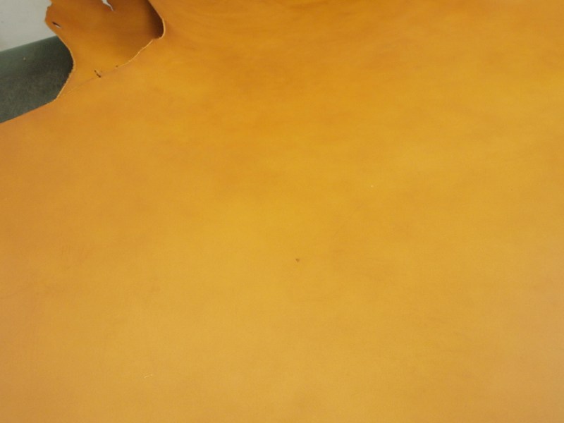 P7301817