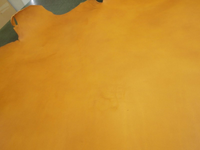 P7301823