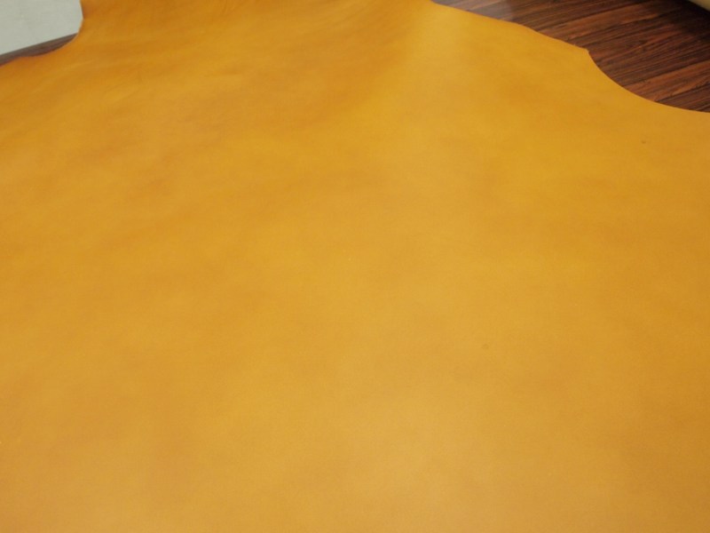 P7301832
