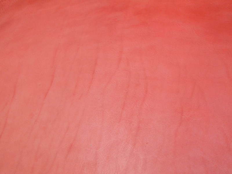P8272333