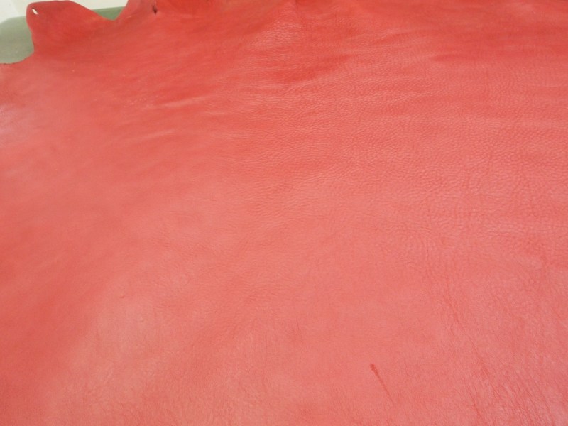 P8272336