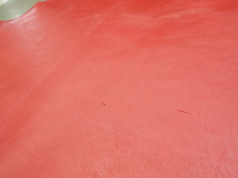P8272339