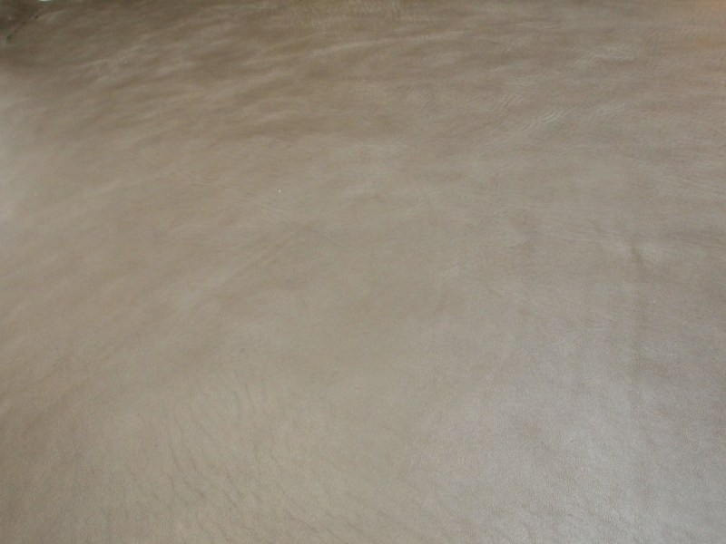 P8272351