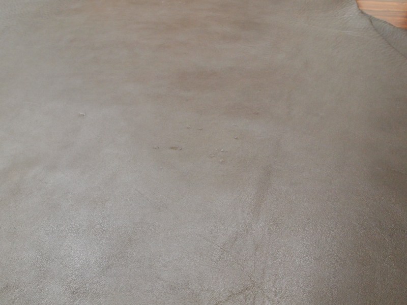 P8272363