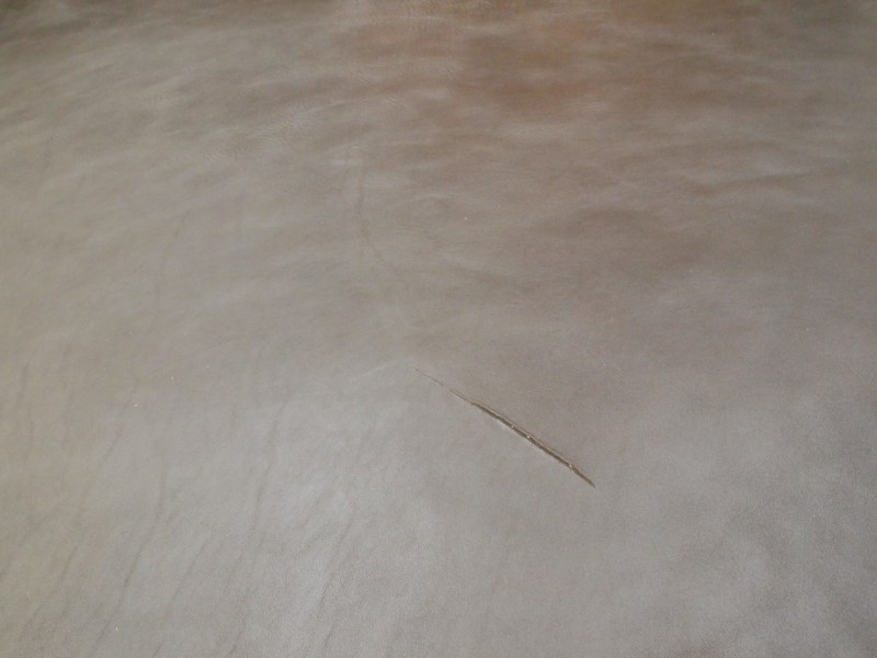 P8272366