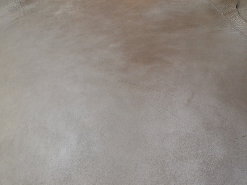 P8272369