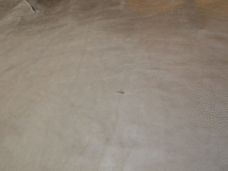 P8272375