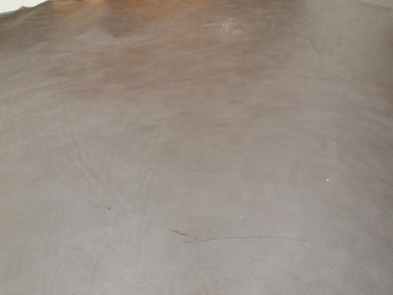 P8272384