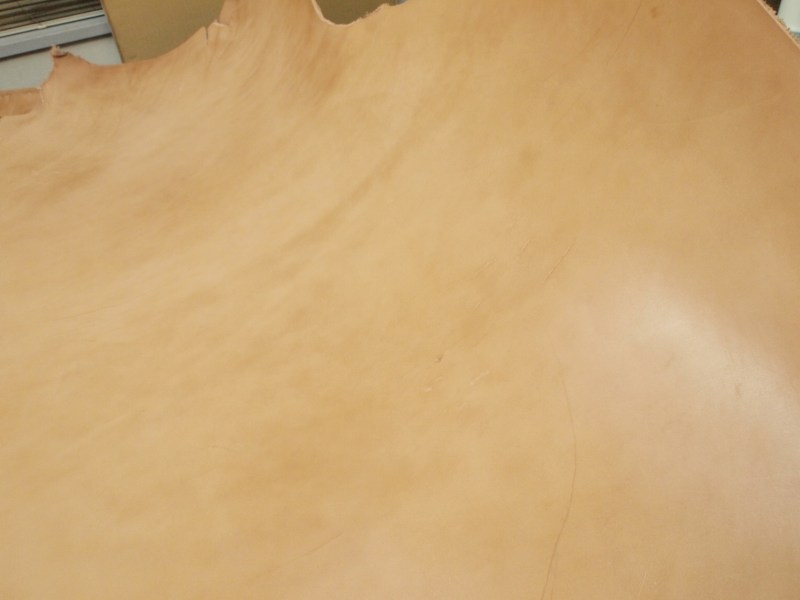 P9032426
