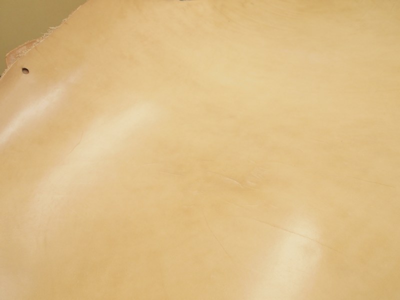 Pa013102