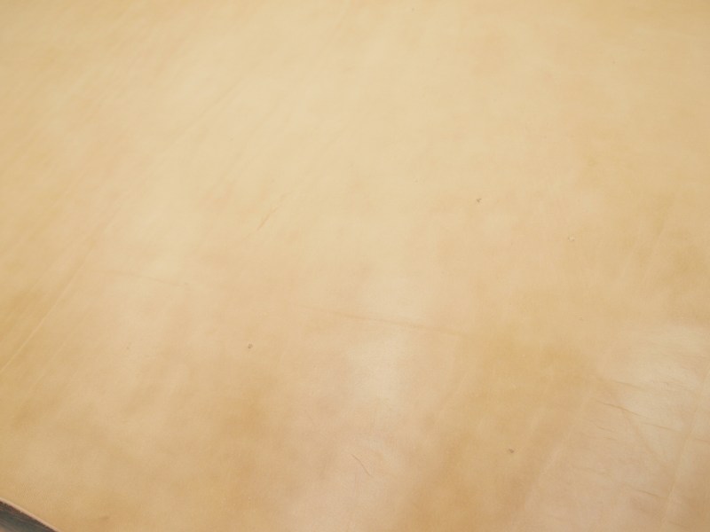 Pa013105