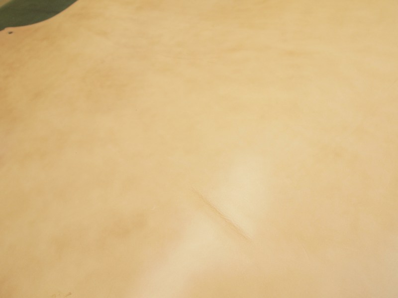 Pa013111