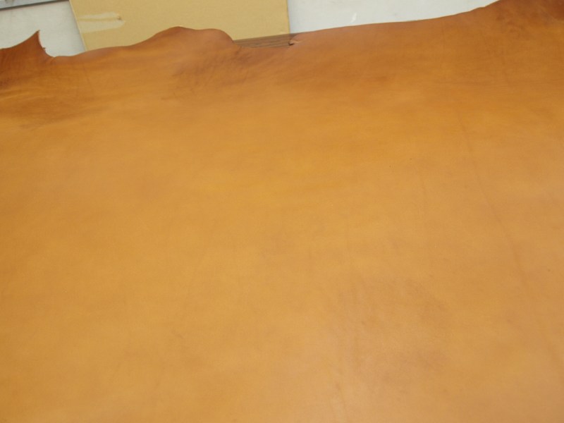 Pa083207