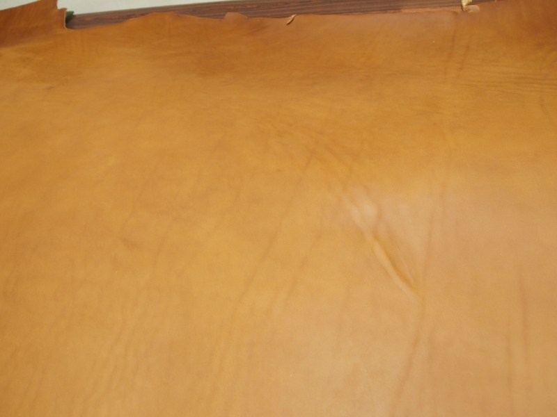 Pa083210
