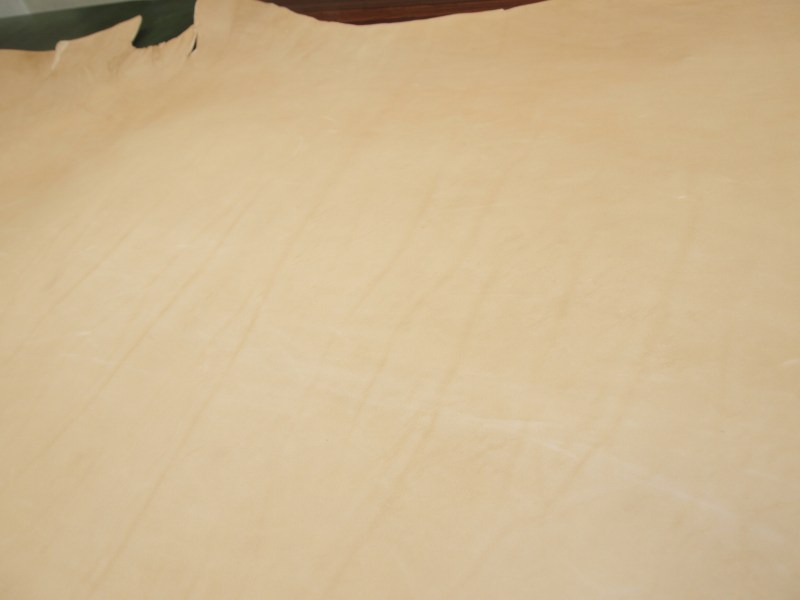 Pa083231