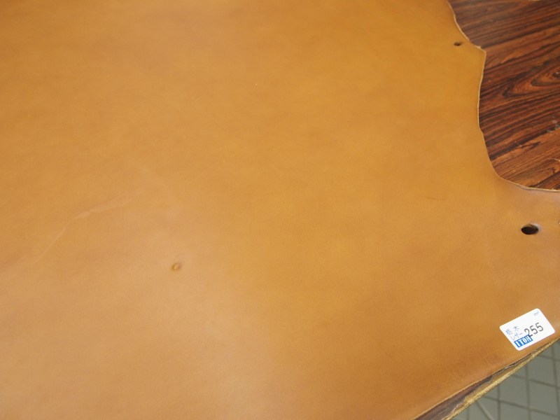 Pa083249