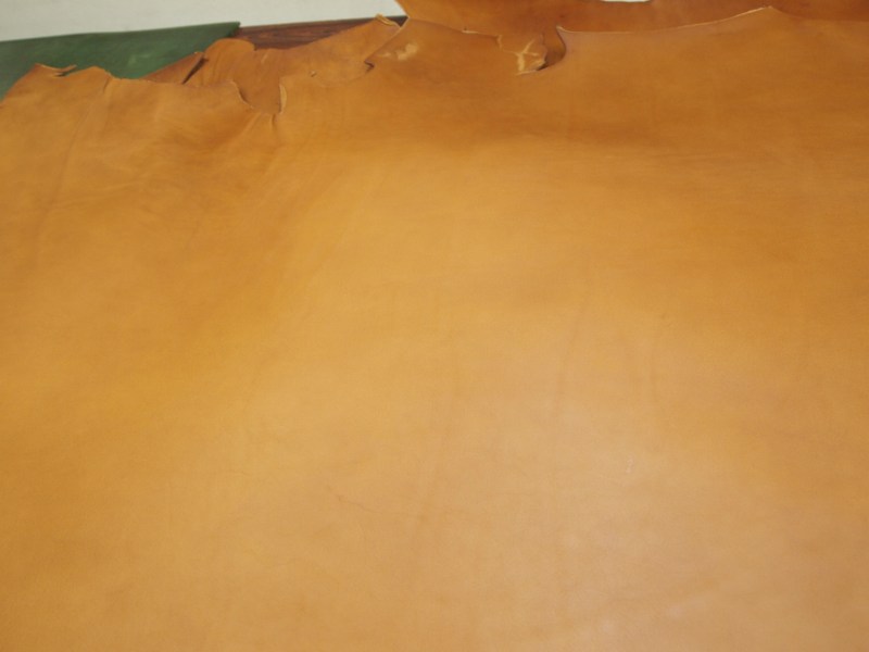 Pa083252