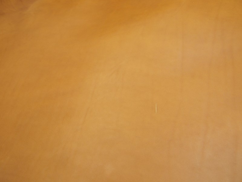 Pa083255