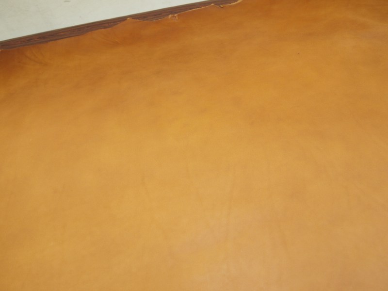 Pa083261