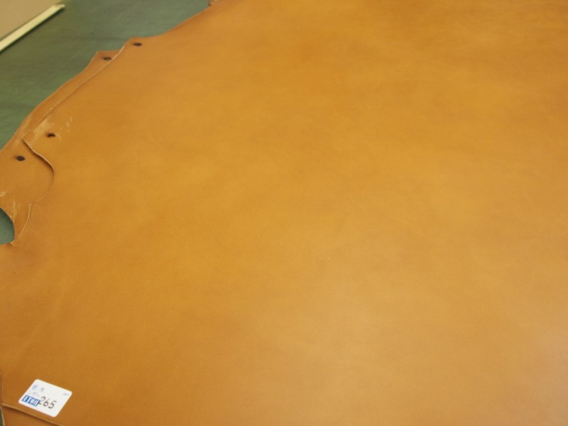 Pa083264