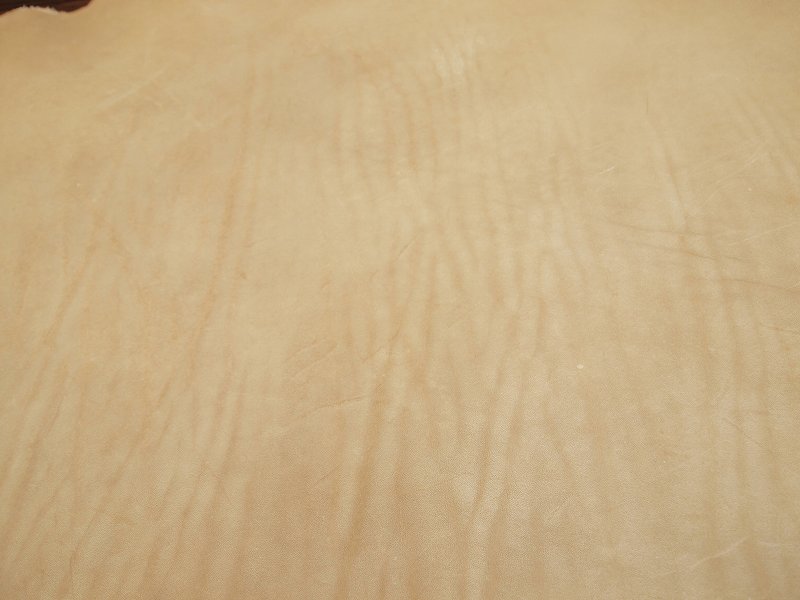 P4167464
