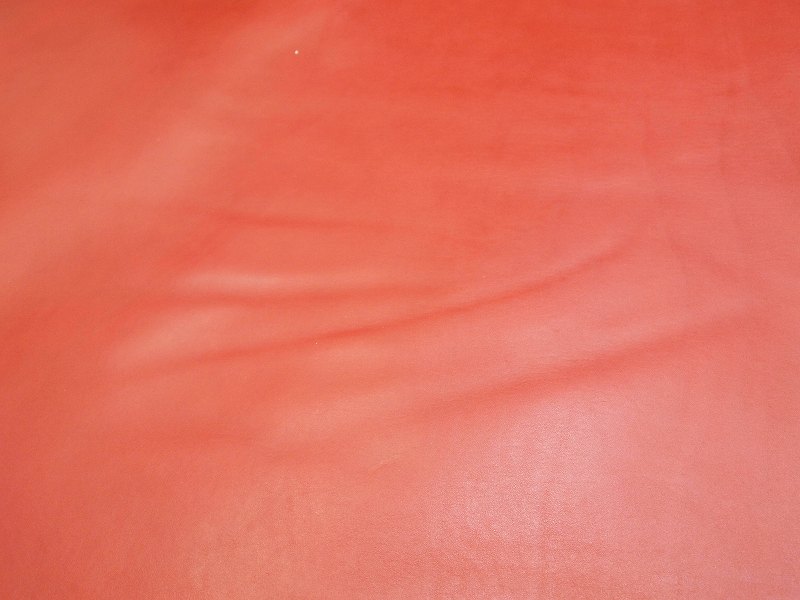 P5137876