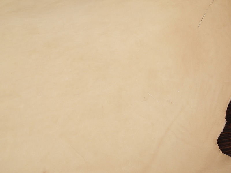 P5298264