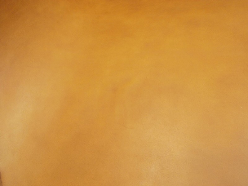 P5298308