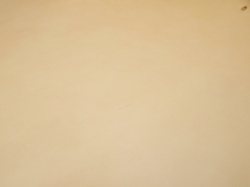 P6048455