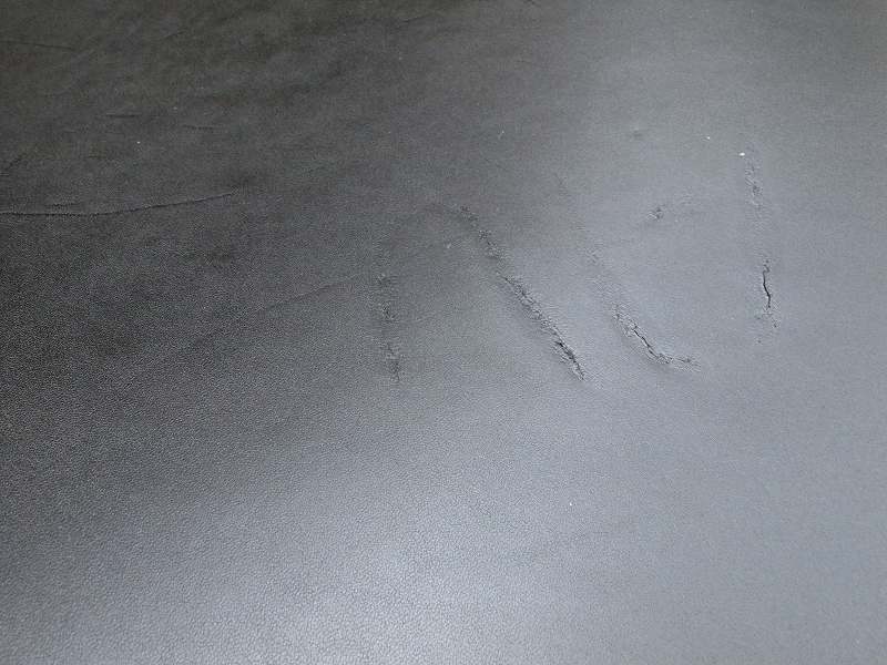 P6108586