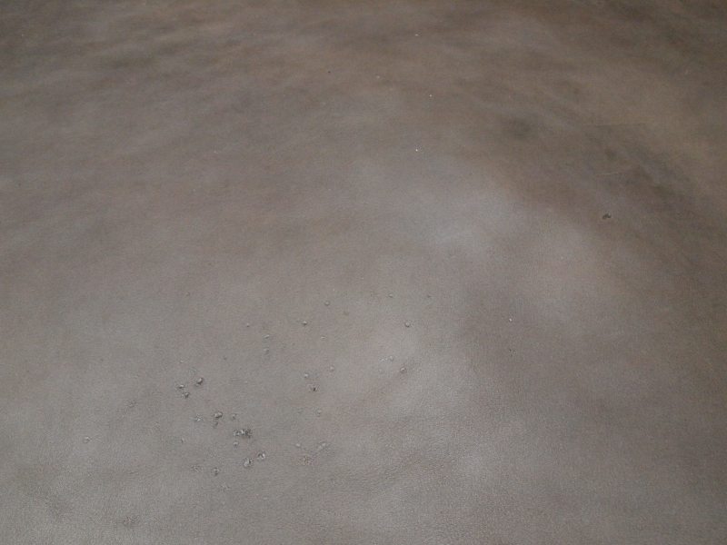 P6118646