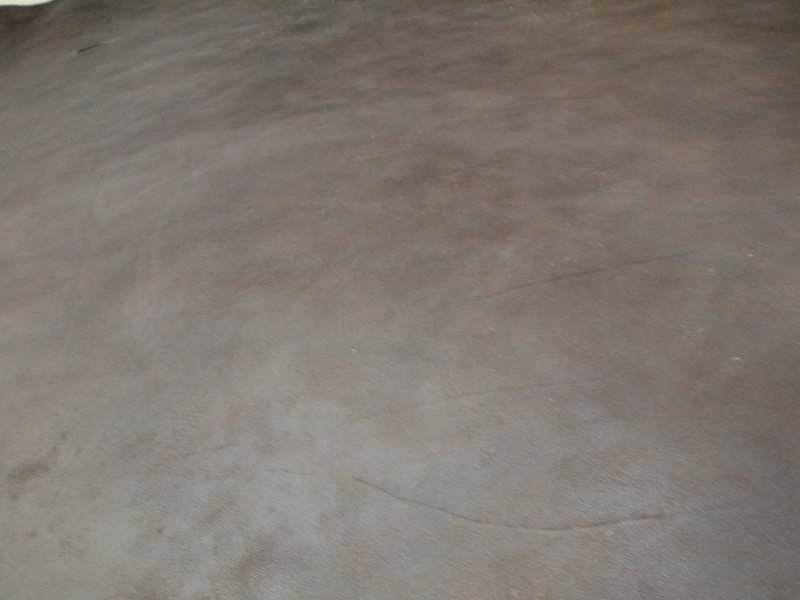 P6118649