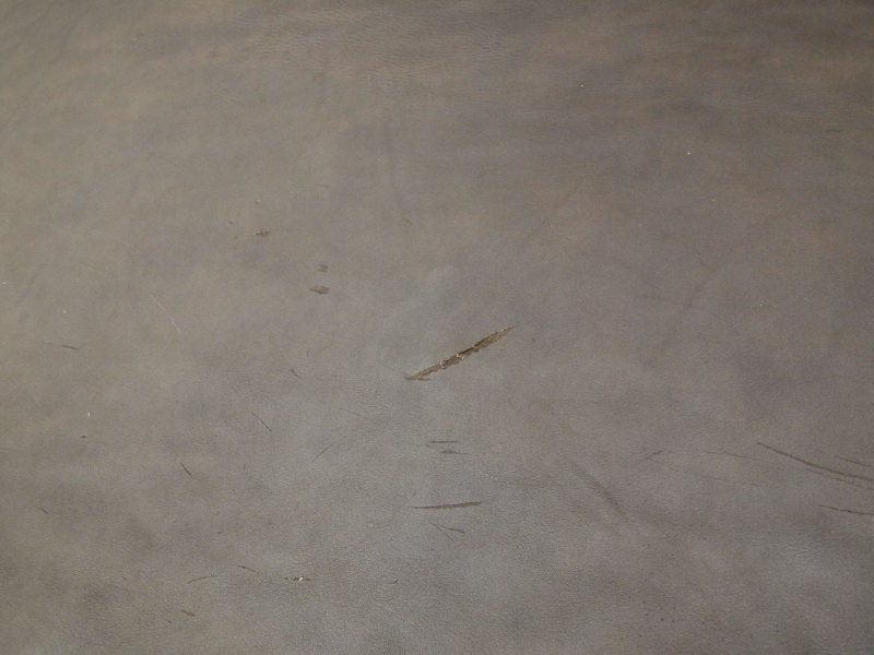 P6118658