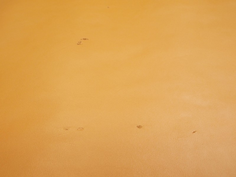 P6178796