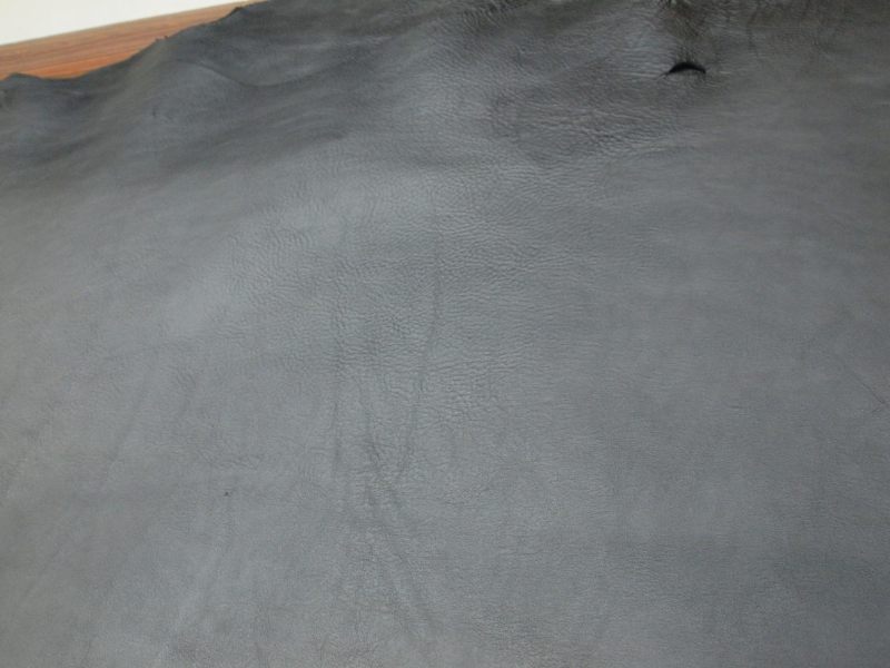 P7019144
