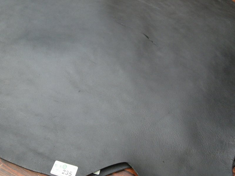 P7019154