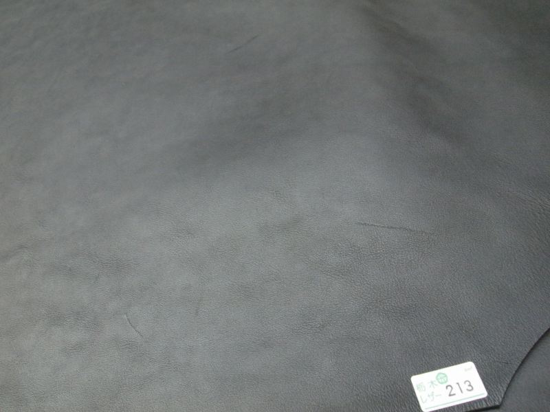 P7019157